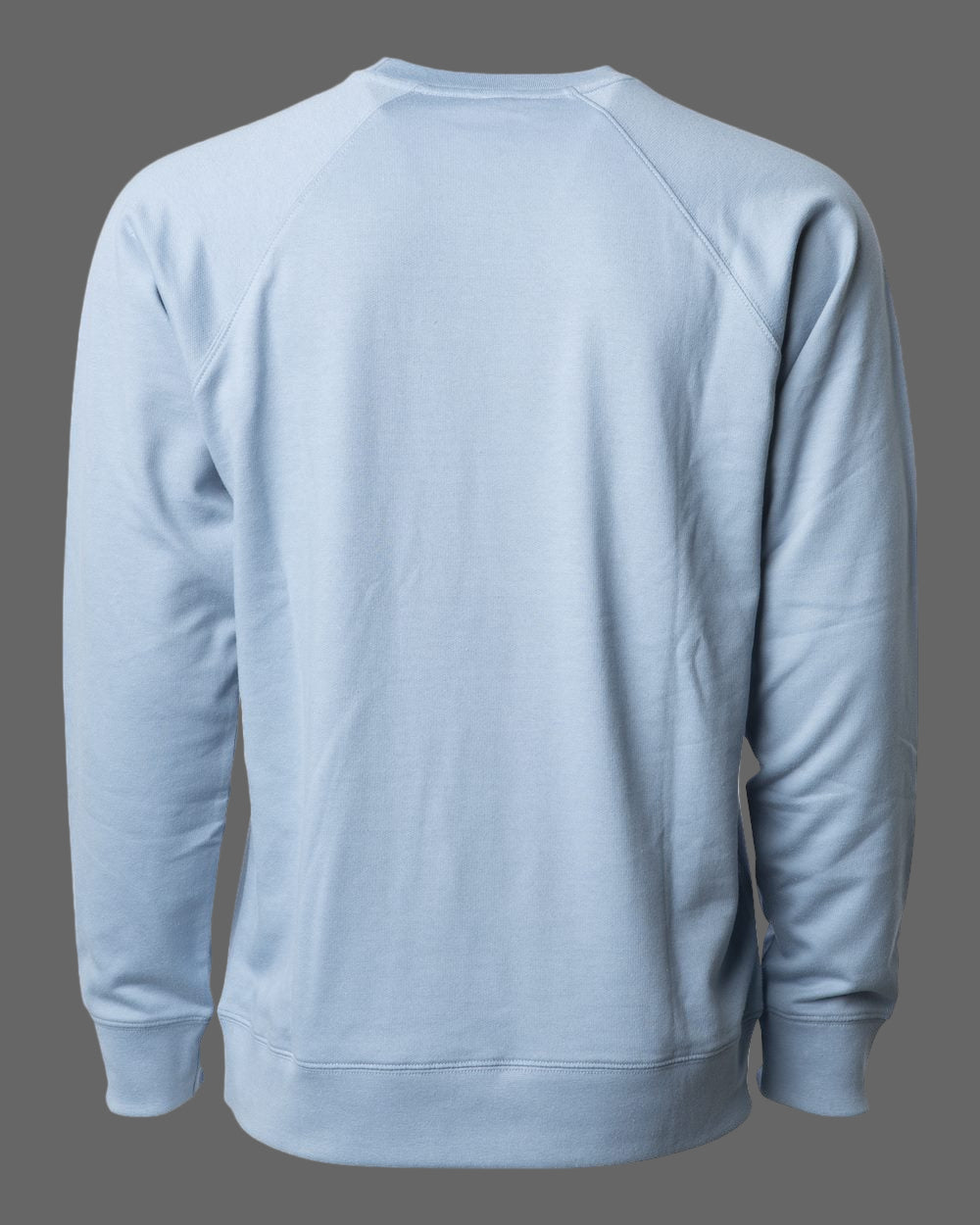 Light blue sweatshirt(Back) on a white background