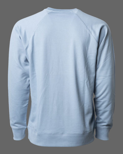 Light blue sweatshirt(Back) on a white background